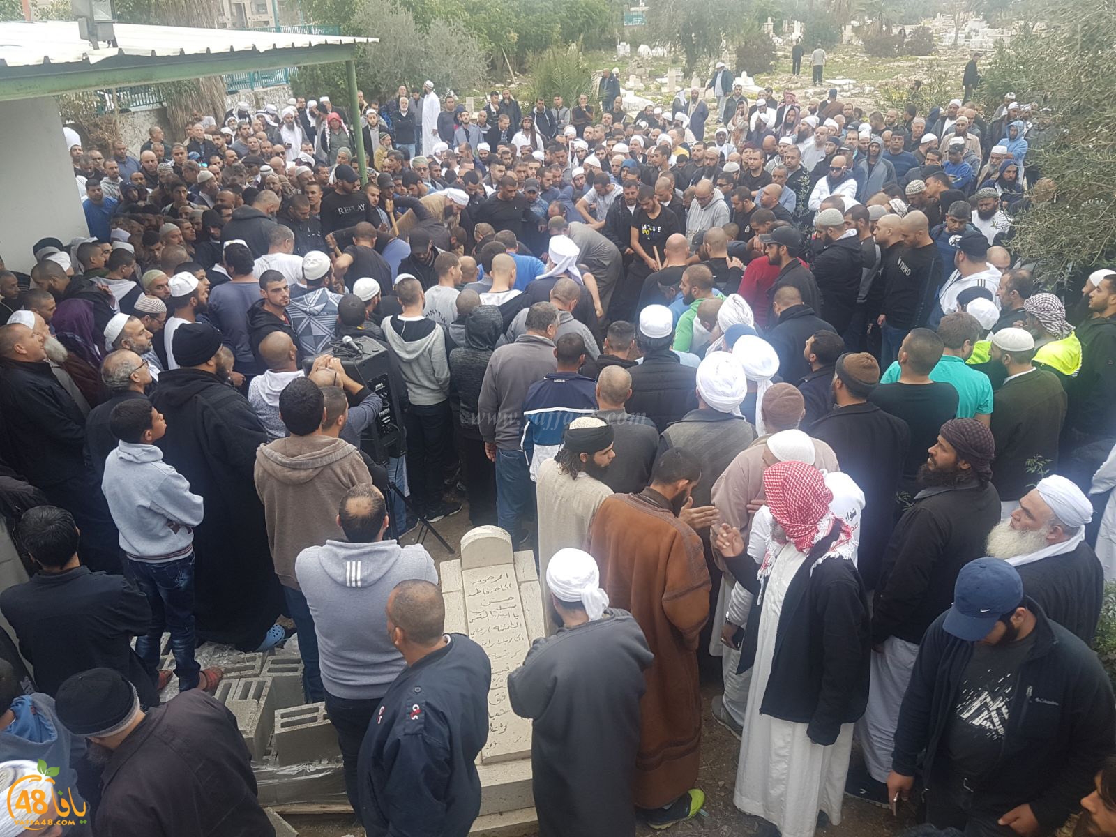 tasheeye3 om mhmoud (2).jpg